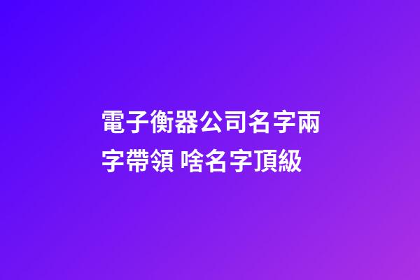 電子衡器公司名字兩字帶領 啥名字頂級-第1張-公司起名-玄機派